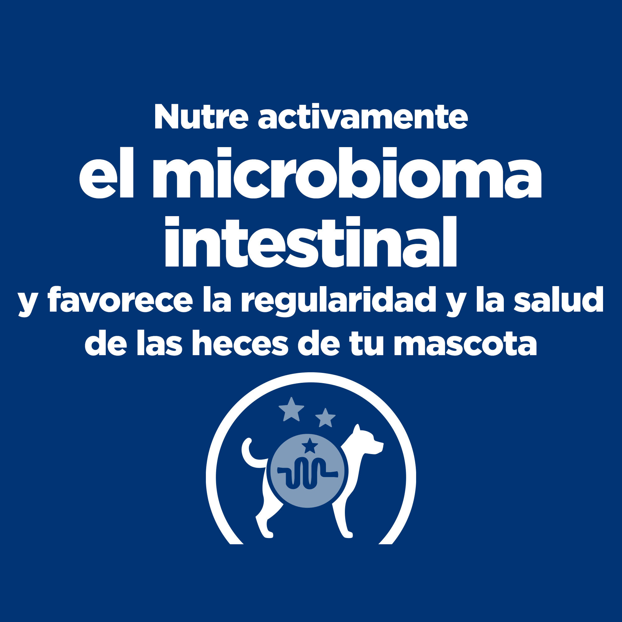 6 kg Hill's Prescription Diet Gastrointestinal Biome Mini pienso para perros, , large Imagen numero 5